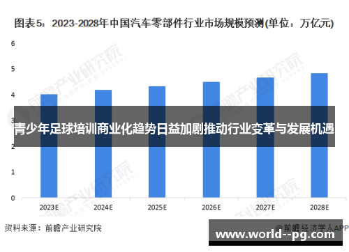 青少年足球培训商业化趋势日益加剧推动行业变革与发展机遇