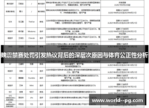 魏震禁赛处罚引发热议背后的深层次原因与体育公正性分析