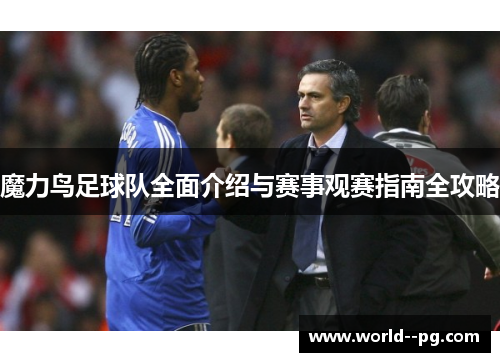 魔力鸟足球队全面介绍与赛事观赛指南全攻略