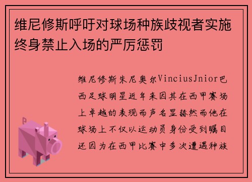 维尼修斯呼吁对球场种族歧视者实施终身禁止入场的严厉惩罚 维尼修斯呼吁对球场种族歧视者实施终身禁止入场的严厉惩罚